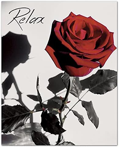 NOROUOV Modern Piros Rózsa a Virágok a Szürke Könyvek Wall Art Festmények sor 4 (8X10 Vászon Kép) Nyugi, Lélegezz Mossa